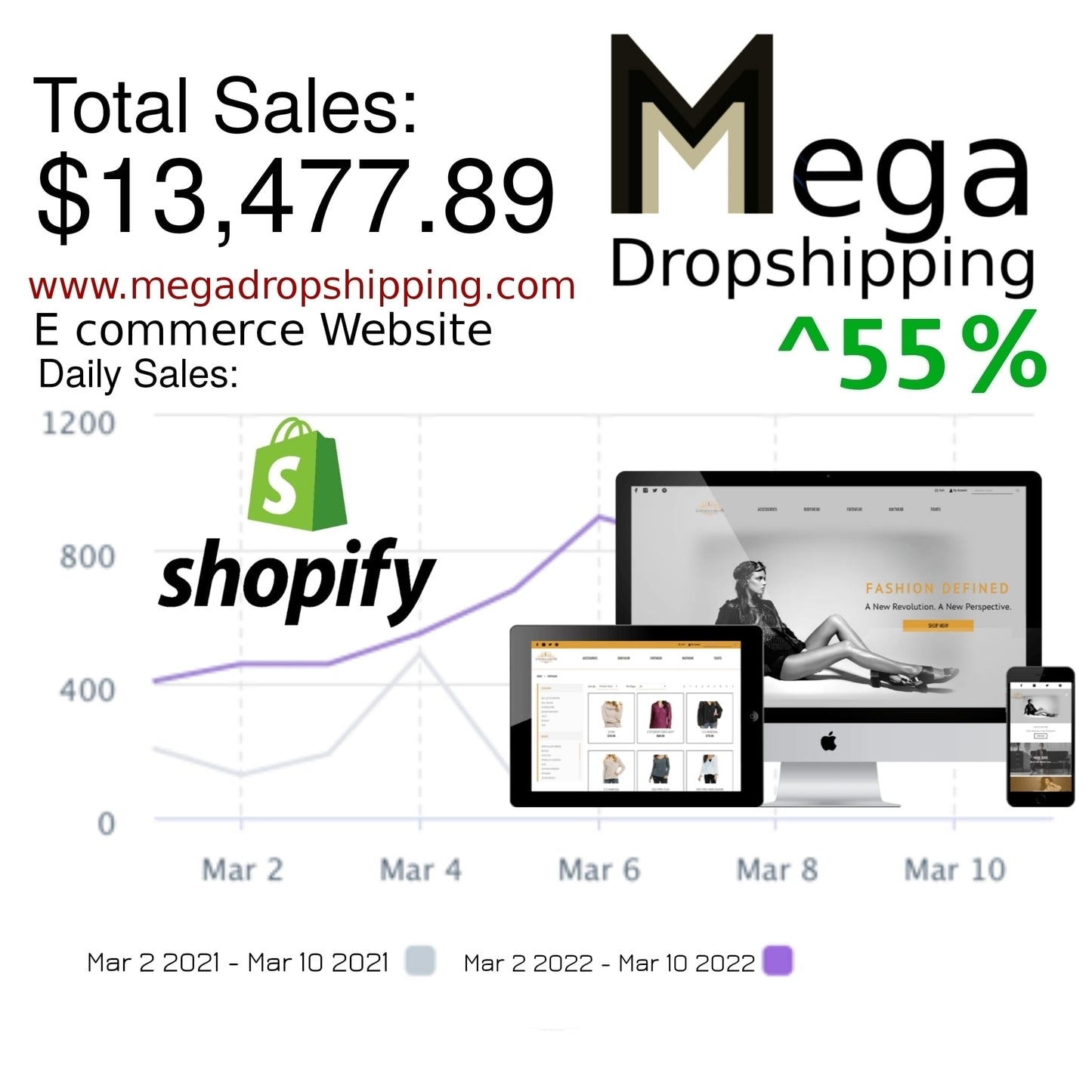 Mega Dropshipping 2025 - Masterclass Course💻📈