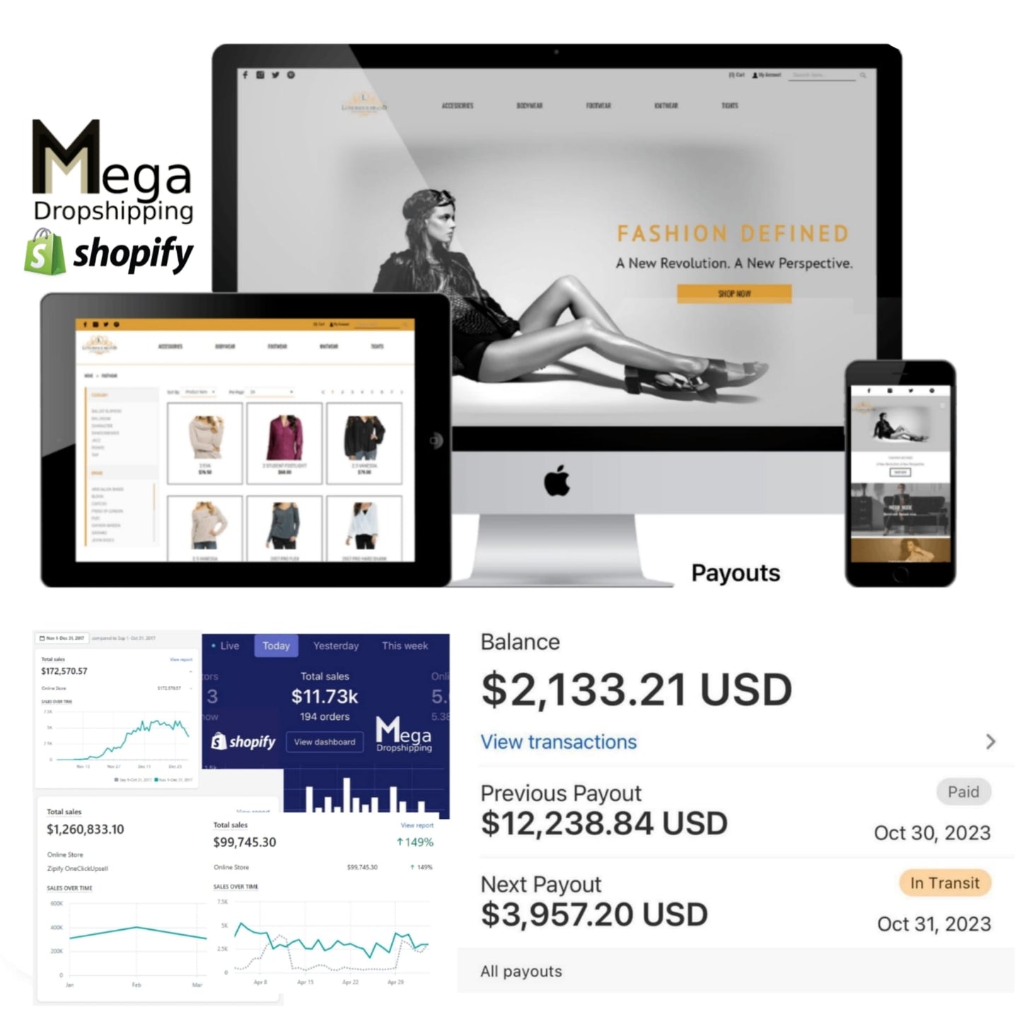 We will create your E-Commerce / Dropshipping Shopify Store