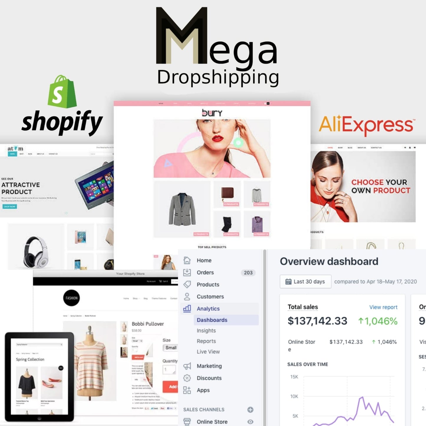 Mega Dropshipping 2025 - Masterclass Course💻📈