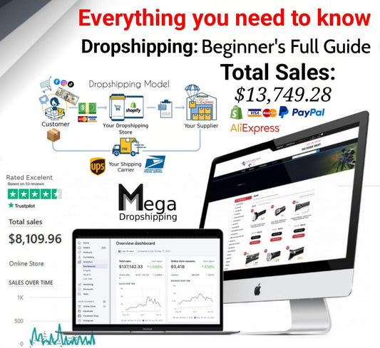 Mega Dropshipping 2025 - Masterclass Course💻📈