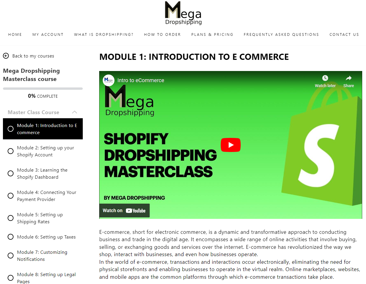 Mega Dropshipping - Advanced Dropshipping Course