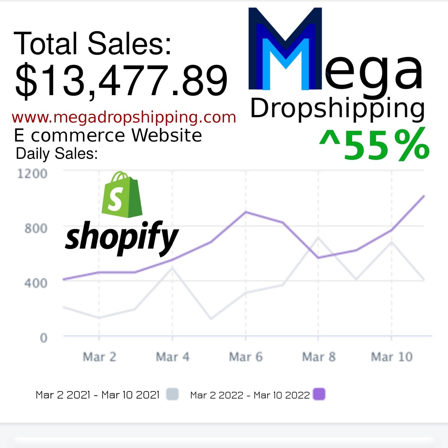 online dropshipping shopify chart total sales