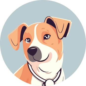 "Paw Provisions" - Tienda de productos para mascotas🐾